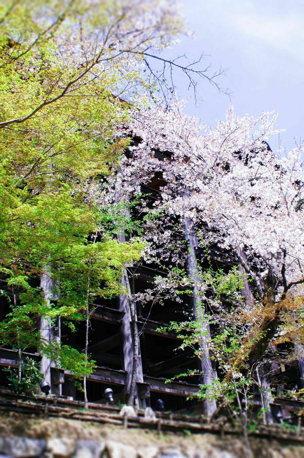 Stay Sakura Kyoto Machiya Akari Dış mekan fotoğraf
